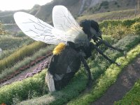 Bee (Eden Project)